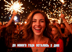 До нового года осталось 2 дня 