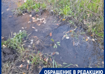 Денежные реки водоканала заливают лесопосадку на Новостройке в Шахтах: жители поселка требуют разобраться