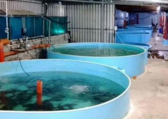 В Ростовской области выставлено на продажу форелево-осетровое хозяйство за 98 миллионов рублей