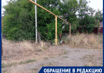Свора собак в Шахтах нападает на прохожих: выбегают со двора хозяйки 