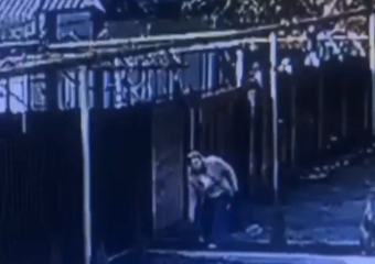 Женщина украла саженец ели у частного дома в Шахтах
