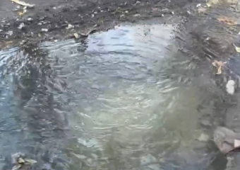 Канализационная авария на улице Садовая в Шахтах беспокоит жителей