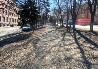 Власти Шахт снова выставили «пешеходную зону» на Ленина на голосование для благоустройства: что с этим не так?
