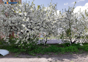 Солнце выглянет с самого утра и обещает радовать шахтинцев практически до заката