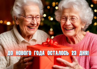 До Нового года осталось 23 дня 