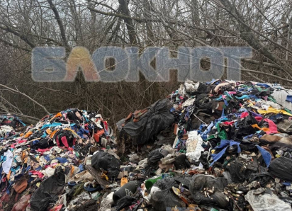 Обнаружена незаконная свалка в Шахтах