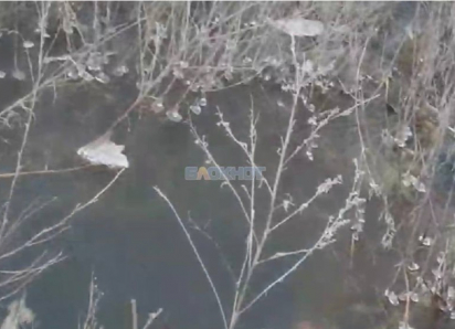 На улице Фадеева в Шахтах образовалось озеро за многоквартирными домами из-за прорыва трубы