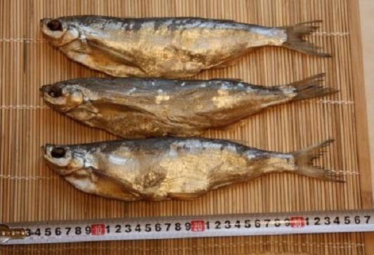 В Новошахтинске уничтожили сомнительную рыбу