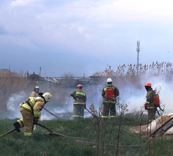 В поселке Красина в Шахтах потушили более 100 кв. метров степного пожара