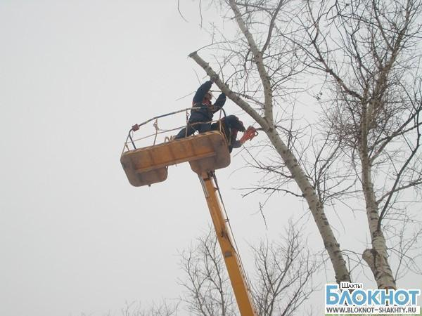 Шахтинскую администрацию обязали удалить аварийные деревья