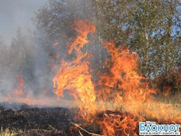 Чрезвычайная пожароопасность ожидается на всей территории Донского региона