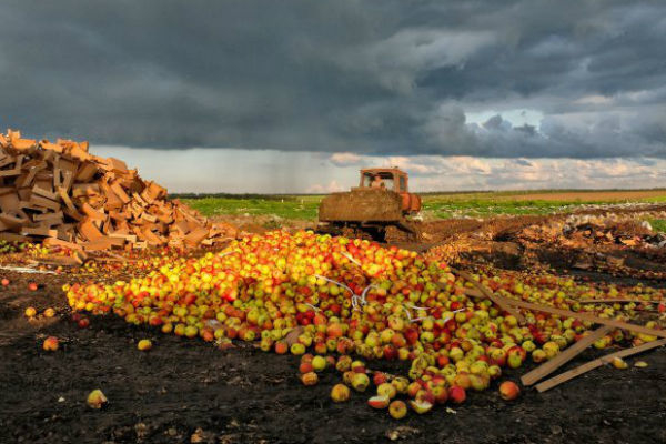 На въезде в Шахты уничтожили почти 8 тонн фруктов