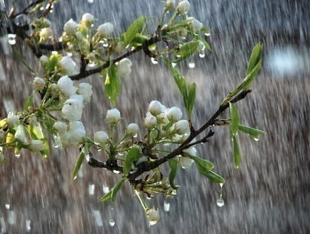 Резкое похолодание и первый весенний ливень ожидают Шахты в четверг