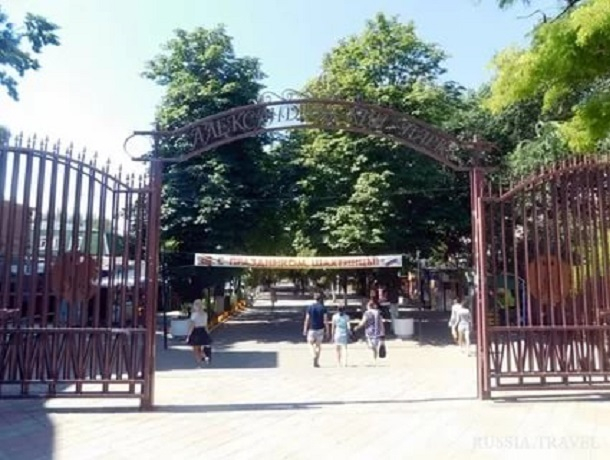 Бывшего директора Александровского парка в Шахтах осудили за мошенничество