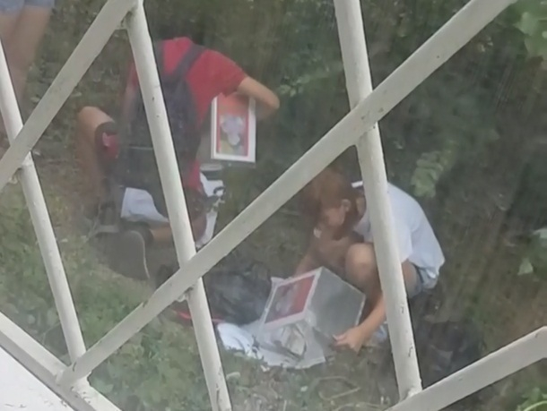 Парочка, опустошающая коробки с пожертвованиями на лечение детей, попала на видео в Шахтах