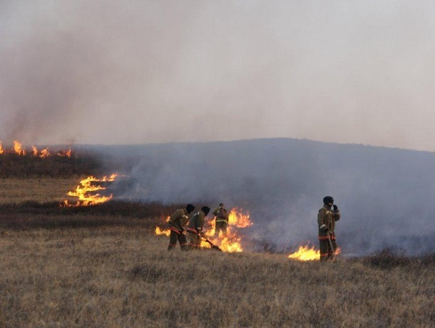 До 700 тысяч рублей составит штраф в Шахтах за выжигание сухой травы