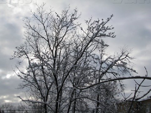 В Шахты пришла настоящая зима: в понедельник будет -10 и снег