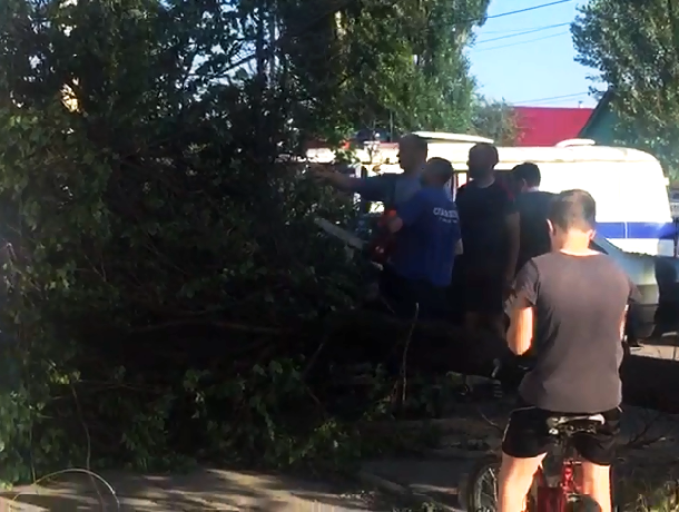 В Шахтах спасатели освободили автомобиль из-под поваленного ливнем дерева