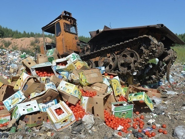 Почти четыре тонны овощей, зараженных опасным вредителем, нашли под Шахтами