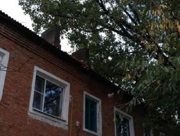 Ветки громадного тополя ломают шифер на крыше дома на улице Театральная в Шахтах