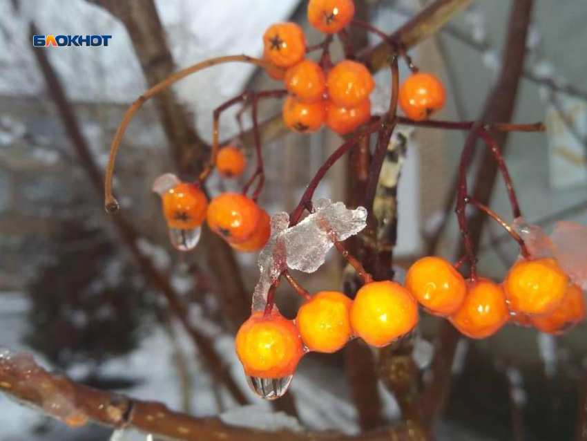 С утра будет пасмурно, днем синоптики обещают дождь