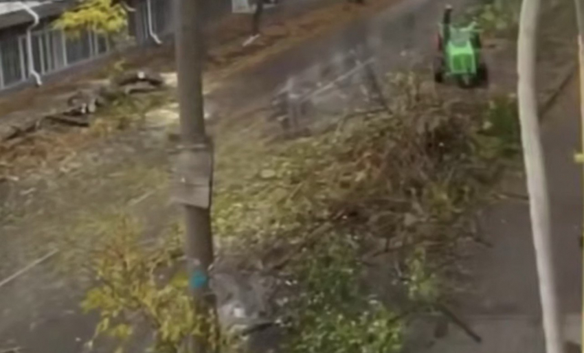 Спилили все деревья на одной из улиц у гимназии №7 в Шахтах