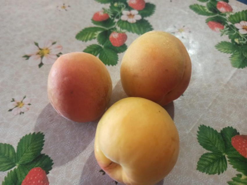 Шахтинские абрикосы: польза или вред для здоровья горожан