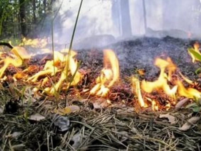 В Шахтах объявлен чрезвычайный уровень пожароопасности