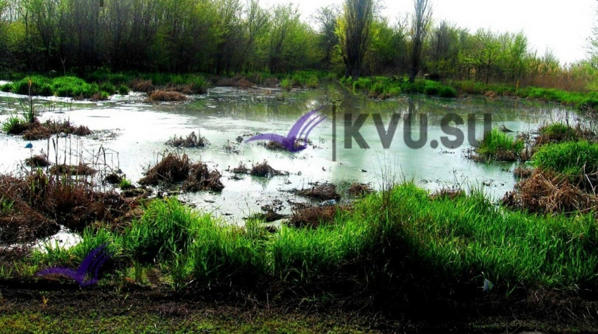 Канализационное поле в 150 м образовалось в Шахтах