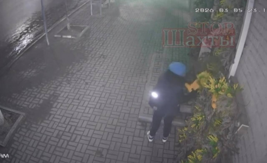 "Голубая шапочка» нагло своровала декор со стены магазина — резиновые сапоги в Шахтах