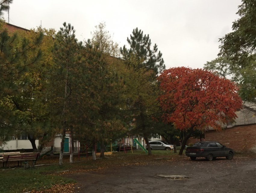 Пасмурно, тепло и безветренно будет в Шахтах во второй праздничный день 