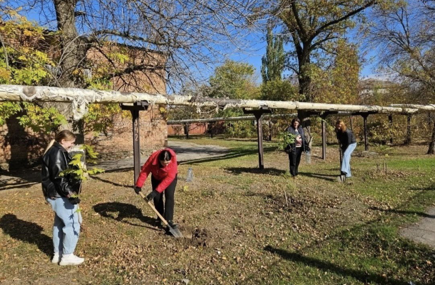 Осенний День древонасаждений состоялся в Шахтах