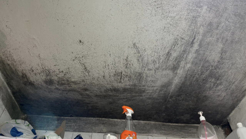 Плесень на 14 этажей вверх в затопленном доме — как жители Шахт выживают без ремонта уже 30 лет