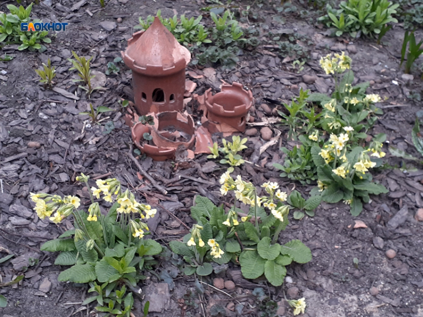 Солнце на этот раз шахтинцев сможет порадовать лишь днем и то ненадолго