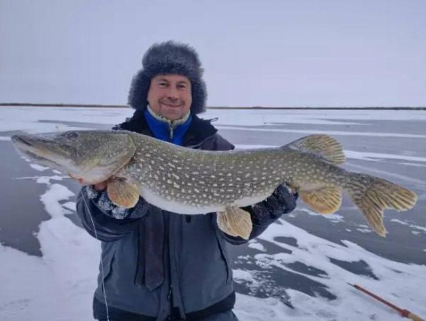 Рыбак выловил щуку-гиганта в мороз в Ростовской области