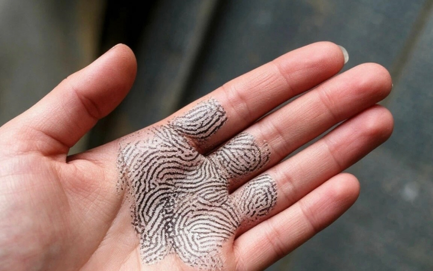 В Ростовской области за год более 600 преступлений раскрыли благодаря отпечаткам пальцев и ладоней
