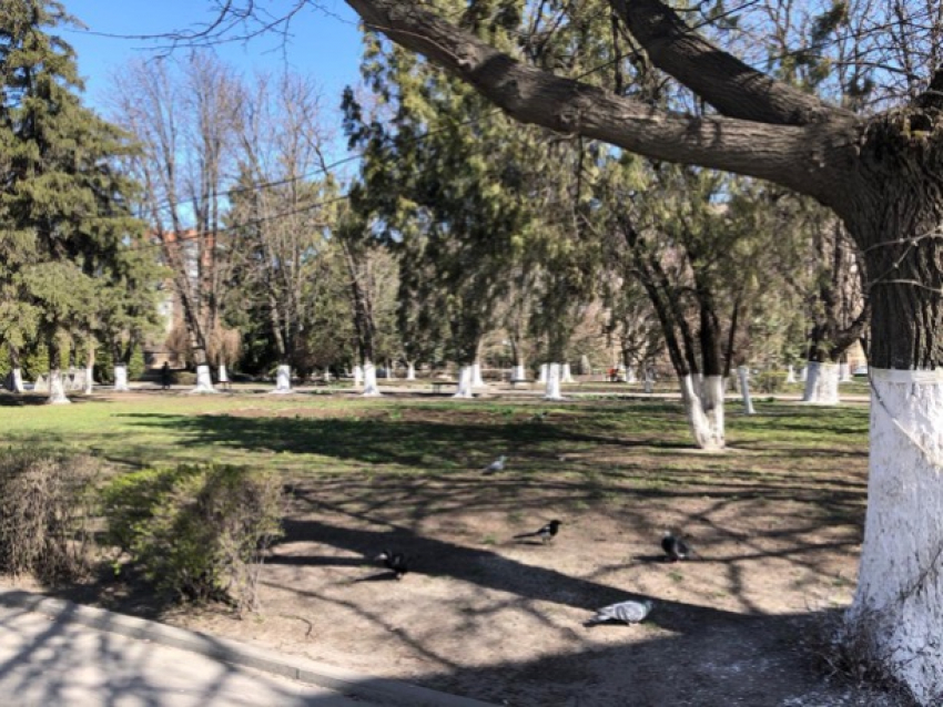 «Стели красна по заморозкам»: погода в Шахтах и примета дня 