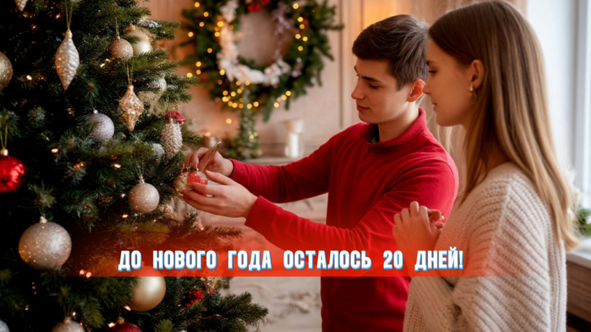 До нового года осталось 20 дней
