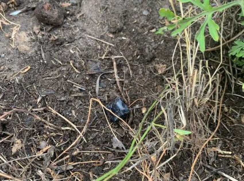 «Шел за закладкой»: 48-летнего рецидивиста задержали в Шахтах 