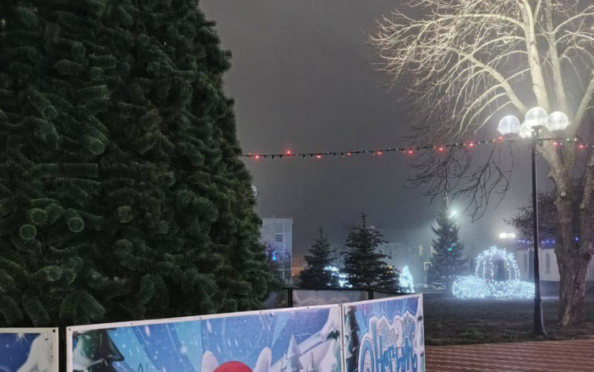 В Каменоломнях установили новогоднюю ель