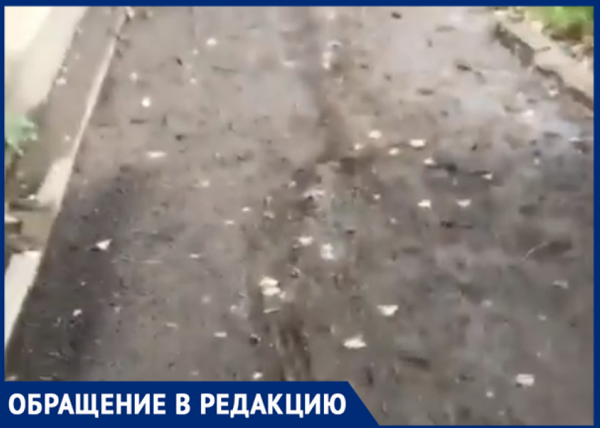 «Одни слова, а дел мы не дождемся?». Шахтинка пожаловалась на депутата, не выполнившего предвыборное обещание