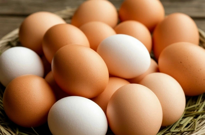 Яйца в Шахтах подорожали на 4% за минувшую неделю