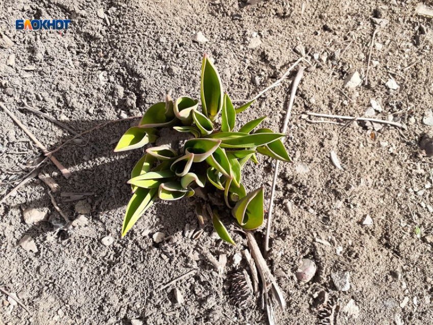 Весна постепенно вступает в свои права