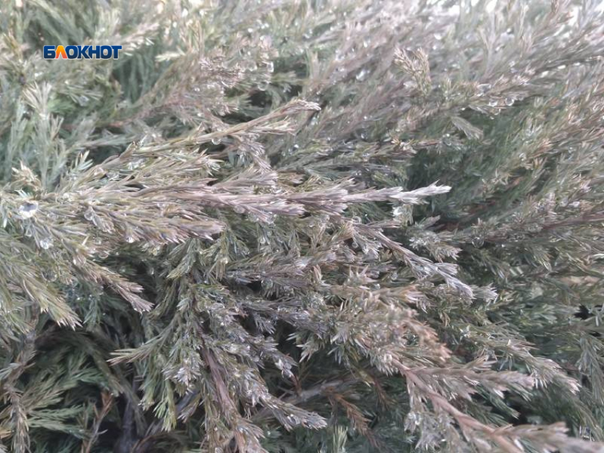 К выходным ожидается похолодание