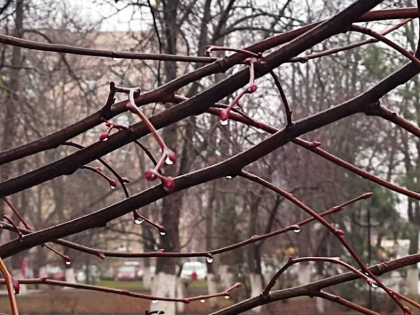 Ветер немного стихнет и по-прежнему будет облачно