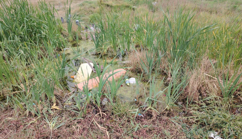 Болото и проблемы с канализацией беспокоят жителей района Олимпийский в Шахтах