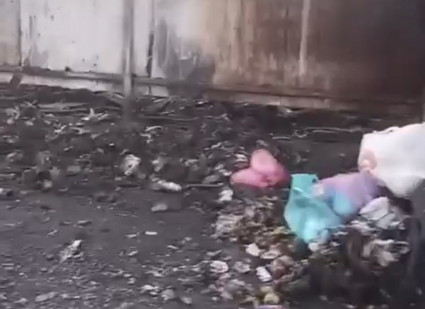 Десятки новых мусорных баков уничтожены за несколько месяцев в Шахтах