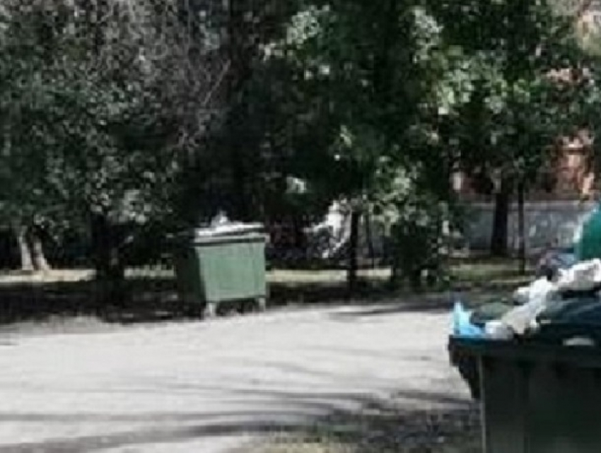 Коммунальщики в Шахтах перенесли баки ближе к подъезду и «забыли» вывозить