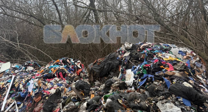 Обнаружена незаконная свалка в Шахтах