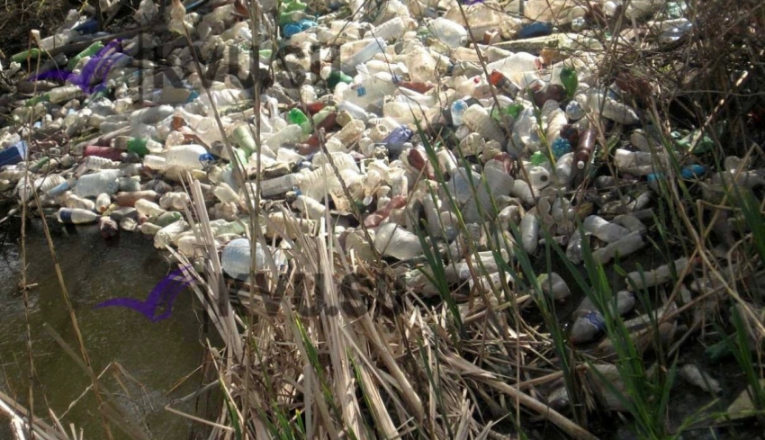 Реку Грушевку в Шахтах в очередной раз завалило мусором